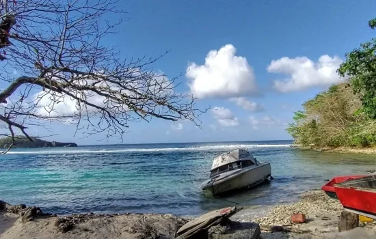 Gallery-Page-Winnifred-Beached-scaled-1-qx1ksxi9b0feiuy1nvenfuz7grh9oykb8a88232ey4